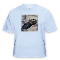 Galapagos Islands, Ecuador. Giant tortoise - SA07 MDE0108 - Michael DeFreitas - Light Blue Infant Lap-Shoulder Tee (6M) Galapagos Islands, Ecuador. Giant tortoise - SA07 MDE0108 - Michael DeFreitas - Light Blue Infant Lap-Shoulder Tee (6M)
