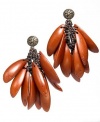 Macy's Earrings, Maria Oiticica Seed Pod Cross Section Earrings