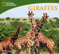 National Geographic Giraffes National Geographic Giraffes