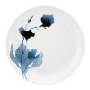 Using a time-honored ceramics technique, finely spattered pigments cast subtle shadows and dramatic silhouettes in this naturalistic collection from Dansk. Intriguing and alluring, it evokes the feeling of looking through a frosted glass lens.