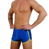 Men's New Retro Fitness Hot / Workout Gym Short By Gary Majdell Sport