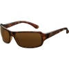 Ray-Ban RB4075 Highstreet Polarized Lifestyle Sunglasses/Eyewear w/ Free B&F Heart Sticker Bundle - Tortoise/Brown / Size 61mm