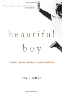 Beautiful Boy: A Father's Journey Through His Son's Addiction Beautiful Boy: A Father's Journey Through His Son's Addiction