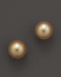 Naturally colored, cultured South Sea golden pearls lend a unique look to classic studs. From Tara Pearls. Naturally colored, cultured South Sea golden pearls lend a unique look to classic studs. From Tara Pearls.