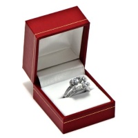 Elizabeth's Fake Engagement Ring - CZ Diamond Size 9 Elizabeth's Fake Engagement Ring - CZ Diamond Size 9