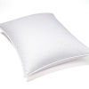 Hudson Park Ultra Clean Soft Down King Pillow