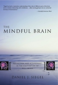 The Mindful Brain: Reflection and Attunement in the Cultivation of Well-Being The Mindful Brain: Reflection and Attunement in the Cultivation of Well-Being