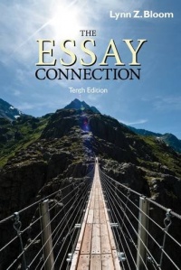 The Essay Connection The Essay Connection