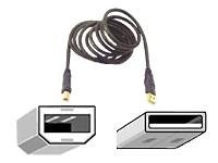 Belkin F3U133-10-GLD 10ft USB 2.0 A/b Device - 10ft Belkin F3U133-10-GLD 10ft USB 2.0 A/b Device - 10ft