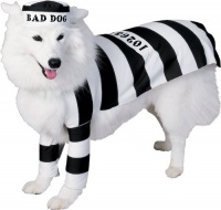 Prisoner Medium Dog Pet Costume