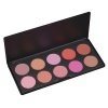 Coastal Scents 10 Piece Professional Blush Palette