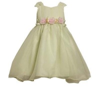 Bonnie Jean Light Green Dress Size 2T Pink Rose Easter Toddler Girl Bonnie Jean Light Green Dress Size 2T Pink Rose Easter Toddler Girl