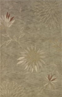 Dalyn Rugs Studio 301 5-Feet by 7-Feet 9-Inch Area Rug, Aloe Dalyn Rugs Studio 301 5-Feet by 7-Feet 9-Inch Area Rug, Aloe