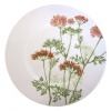 Villeroy & Boch Althea Nova, 8 1/2-Inch Salad Plate