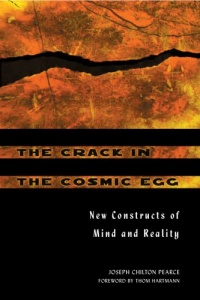 The Crack in the Cosmic Egg: New Constructs of Mind and Reality