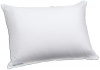 Iso Cool Traditional Polyester Sleeping Pillow with Outlast Cover