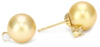 TARA Pearls Gold South Sea Stud 9X10mm 14 Karat Yellow Gold Stud Earrings TARA Pearls Gold South Sea Stud 9X10mm 14 Karat Yellow Gold Stud Earrings