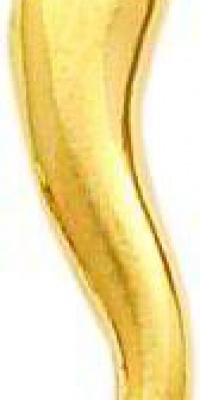14K Gold Italian Horn Charm 14K Gold Italian Horn Charm