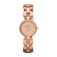 Fossil Women's ES3011 Delicate Champagne Dial Watch Fossil Women's ES3011 Delicate Champagne Dial Watch