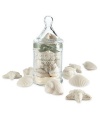 Nine assorted seashell-shaped soaps, fragrant with White Honeysuckle and Baby Jasmine. Presented in a classic glass apothecary jar and tied with a satin ribbon. 