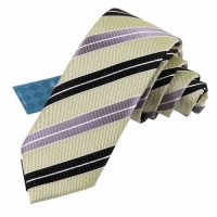 Green Skinny Tie for Men Beautiful Black Stripes Skinny Necktie Matching Gift Box Set By Epoint EAE1027 Green Skinny Tie for Men Beautiful Black Stripes Skinny Necktie Matching Gift Box Set By Epoint EAE1027