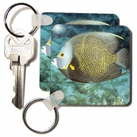 French angelfish, Caribbean - NA02 MDE0021 - Michael DeFreitas - Set Of 2 Key Chains French angelfish, Caribbean - NA02 MDE0021 - Michael DeFreitas - Set Of 2 Key Chains
