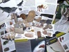 NEW HUGE 40pc Fossil COLLECTION - GENUINE Fossil Dinosaur bone, Trilobite, Ammonites. Woolly Mammoth and more