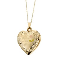 Duragold 14k Yellow Gold Forever In My Heart Heart Locket with Pink Rose Pendant Necklace, 18