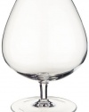 Villeroy & Boch Allegorie Brandy 5 3/4 brandy