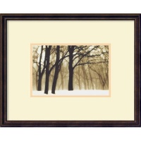 Past Dreams, 2002 by David Lorenz Winston, Framed Print Art - 18.36 x 21.43 Past Dreams, 2002 by David Lorenz Winston, Framed Print Art - 18.36 x 21.43