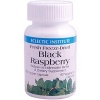 Black Raspberry Freeze-Dried - 90 - Capsule