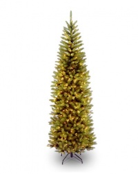 National Tree 7 1/2' Kingswood Fir Pencil Tree, Hinged, 350 Clear Lights (KW7-300-75)