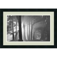 Morning, Harding Park, San Francisco by Mark Citret, Framed Print Art - 18.07 x 24.57 Morning, Harding Park, San Francisco by Mark Citret, Framed Print Art - 18.07 x 24.57