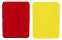 Champion Sports Referee Cards