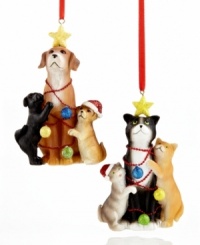 The cats meow and dogs get down to holiday business, getting all wrapped up in an ornament for the furriest member of your family. From Midwest. The cats meow and dogs get down to holiday business, getting all wrapped up in an ornament for the furriest member of your family. From Midwest.