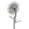 At last, flowers that last forever. Elegant and timeless, this contemporary sunflower centerpiece features diamond cuts and classic contours. A sophisticated addition to any table.