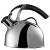 OXO Good Grips Uplift Teakettle, Polished Stainless