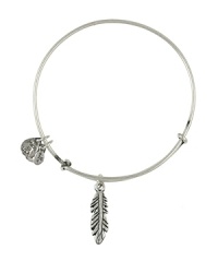 The organic beauty of the feather inspires this Alex and Ani bangle, designed for simple symbolism in plated metal with a delicate charm. The organic beauty of the feather inspires this Alex and Ani bangle, designed for simple symbolism in plated metal with a delicate charm.
