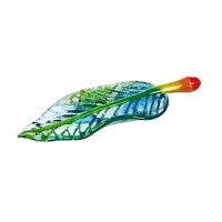 Drawing inspiration from his own 'wide life,' Ludvig Lofgren's leaf scultpure is a natural wonder. Exquisitely crafted of fine crystal, it is rich in detail and vibrancy. Drawing inspiration from his own 'wide life,' Ludvig Lofgren's leaf scultpure is a natural wonder. Exquisitely crafted of fine crystal, it is rich in detail and vibrancy.