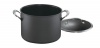 Cuisinart DSA66-24 Dishwasher Safe Hard-Anodized 8-Quart Stockpot with Cover