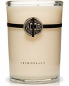 Archipelago Botanicals Archipelago Botanicals Signature Candle - Mango Tangerine