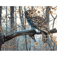 Dimensions Needlecrafts Paintworks Paint By Number, Wise Owl Dimensions Needlecrafts Paintworks Paint By Number, Wise Owl