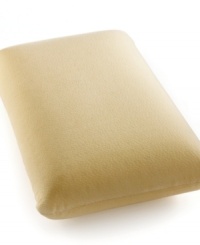 The right sleep starts with the right pillow. Featuring unique memory foam and ventilation channels, this pillow from Sealy relieves pressure by conforming to the head and neck and allows superior air flow for a fresh night's sleep. The traditional shape makes this ideal for all sleep positions. The right sleep starts with the right pillow. Featuring unique memory foam and ventilation channels, this pillow from Sealy relieves pressure by conforming to the head and neck and allows superior air flow for a fresh night's sleep. The traditional shape makes this ideal for all sleep positions.