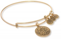 Alex and Ani Because I Love You Expandable Wire Bangle Bracelet Alex and Ani Because I Love You Expandable Wire Bangle Bracelet