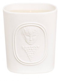 To celebrate 50 years of creation, innovation and passion for perfume in all its forms, the 34 boulevard saint germain range pays homage to an unusual history. This LIMITED EDITION candle scent was inspired by the atmosphere of the workshop of Desmond Knot-Leet, one of the three founders of the brand.The fragrance expresses the eclectic nature of the subtle, unusual collection, from which the creators drew their inspiration.