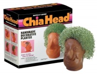 Chia Guy Collectable