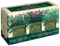 Garden at Home 42414 Italian Herb Trio Garden at Home 42414 Italian Herb Trio