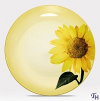 Noritake Colorwave Mustard 9-Inch Accent Plate Noritake Colorwave Mustard 9-Inch Accent Plate