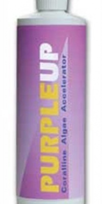 CaribSea Purple Up Algae Accelerator, 16-Ounce CaribSea Purple Up Algae Accelerator, 16-Ounce