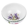 Portmeirion Exotic Botanic Garden Individual Fruit Salad Bowl with Dragonfly Motif